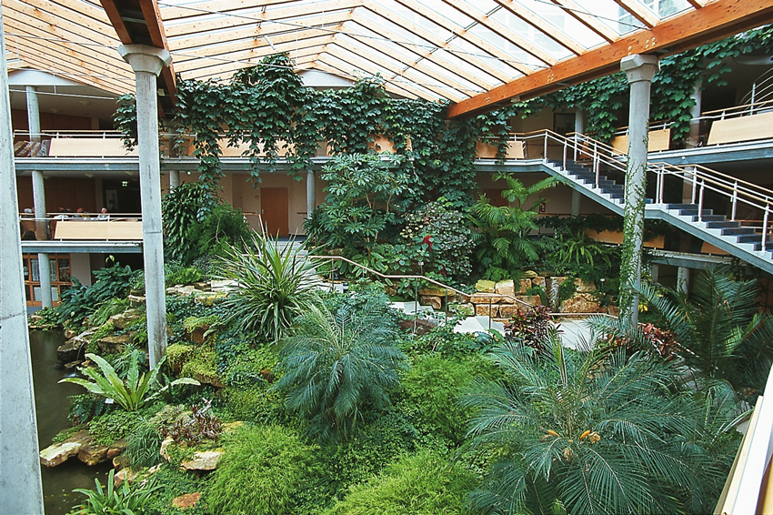 Garten und Landschaftsbau Köln