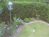 Rollrasen auch bekannt als Fertigrasen ist ein hochwertiges Naturprodukt. Rollrasen ist gesund und kr&auml;ftig ab dem ersten Tag - Fl&auml;che mit Str&auml;uchern.