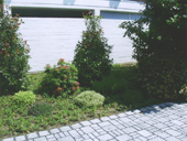 Garden and landscaping Cologne - We offer you everything related to professional gardening and landscaping from a single source, here including paths and shrubs.