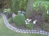 Garden and landscaping Cologne - We offer you everything related to professional gardening and landscaping from a single source, here with meadows and shrubs.