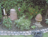 Garden irrigation Cologne