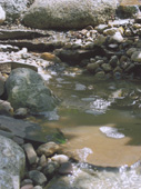 Garden ponds with streams, rivers and stone beds create a lively atmosphere.