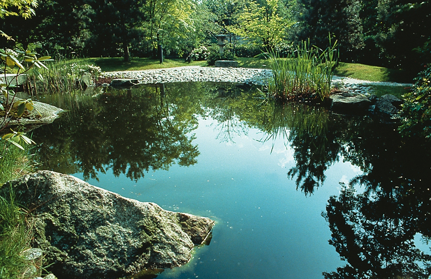 Garden ponds