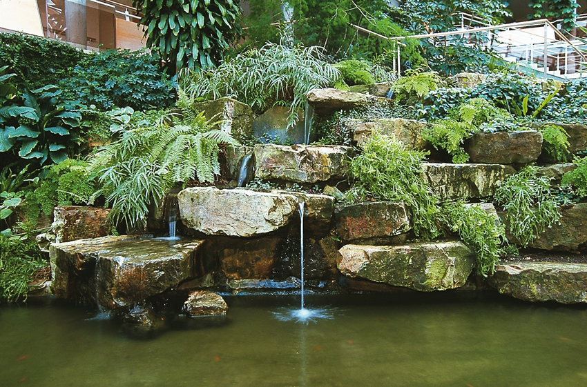 Irrigation de jardin Cologne