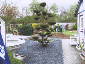 Orticoltura Colonia - L'orticoltura è una parte importante di ciò che offriamo in orticoltura e paesaggistica, qui un giardino con un albero in stile bonsai.